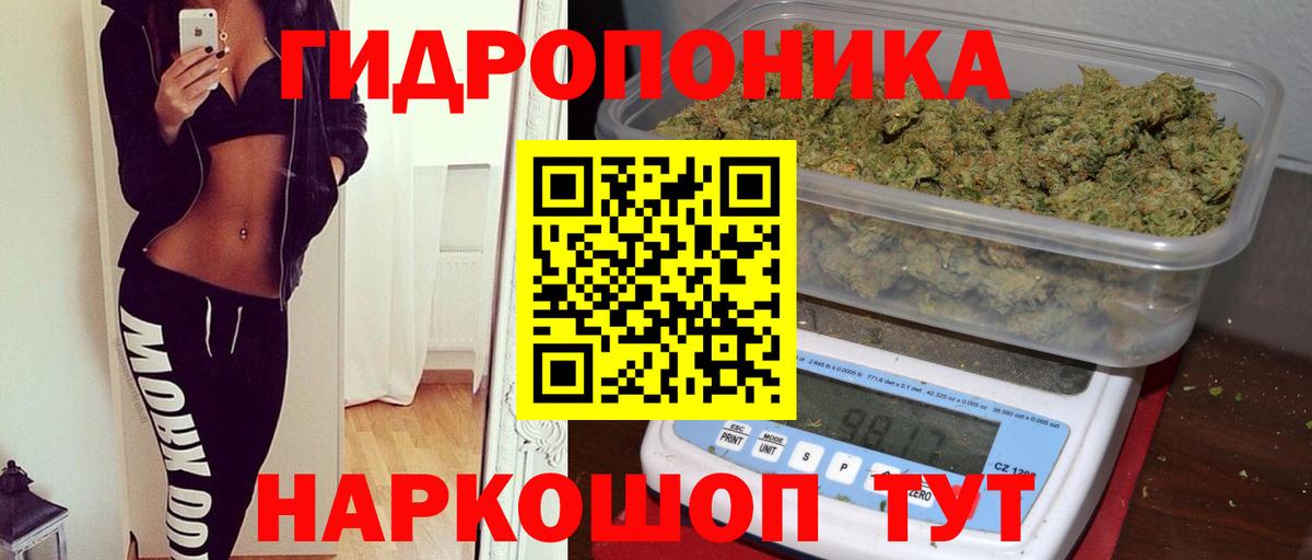 Бошки марихуана Amnesia  Вход с VPN  Шишки марихуана Bruce Banner  Шишки марихуана ГИДРОПОН  Острогожск 